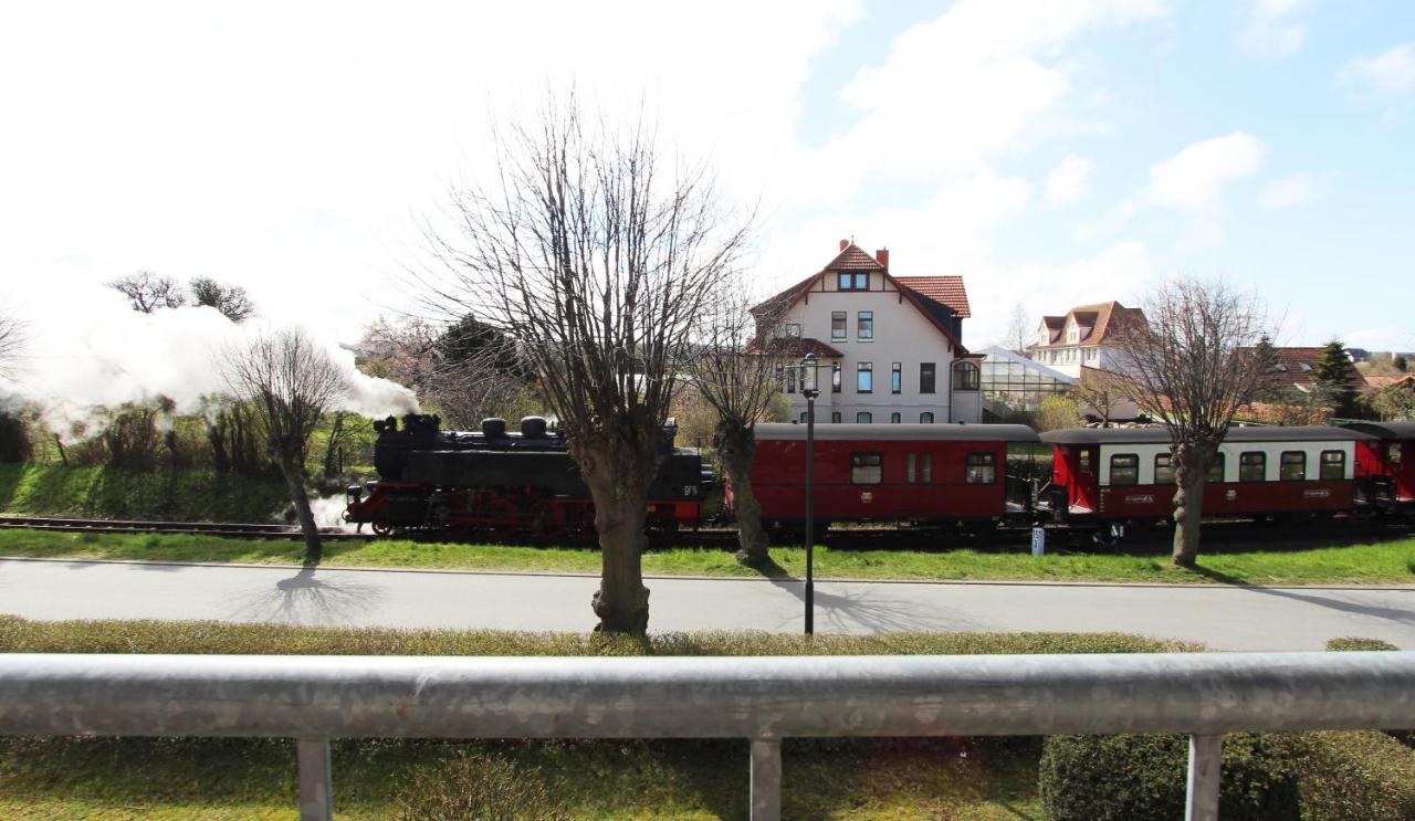 Ferienwohnung Am Molli Nr. 1 Ostseebad Kühlungsborn المظهر الخارجي الصورة